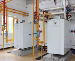 ����˹����ɭȫ�A(y��)������偠t�S����Ƭ